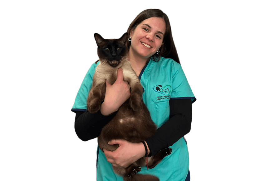 Contacto veterinario