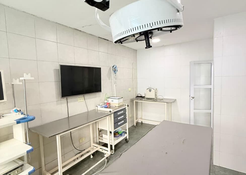 Servicios veterinarios